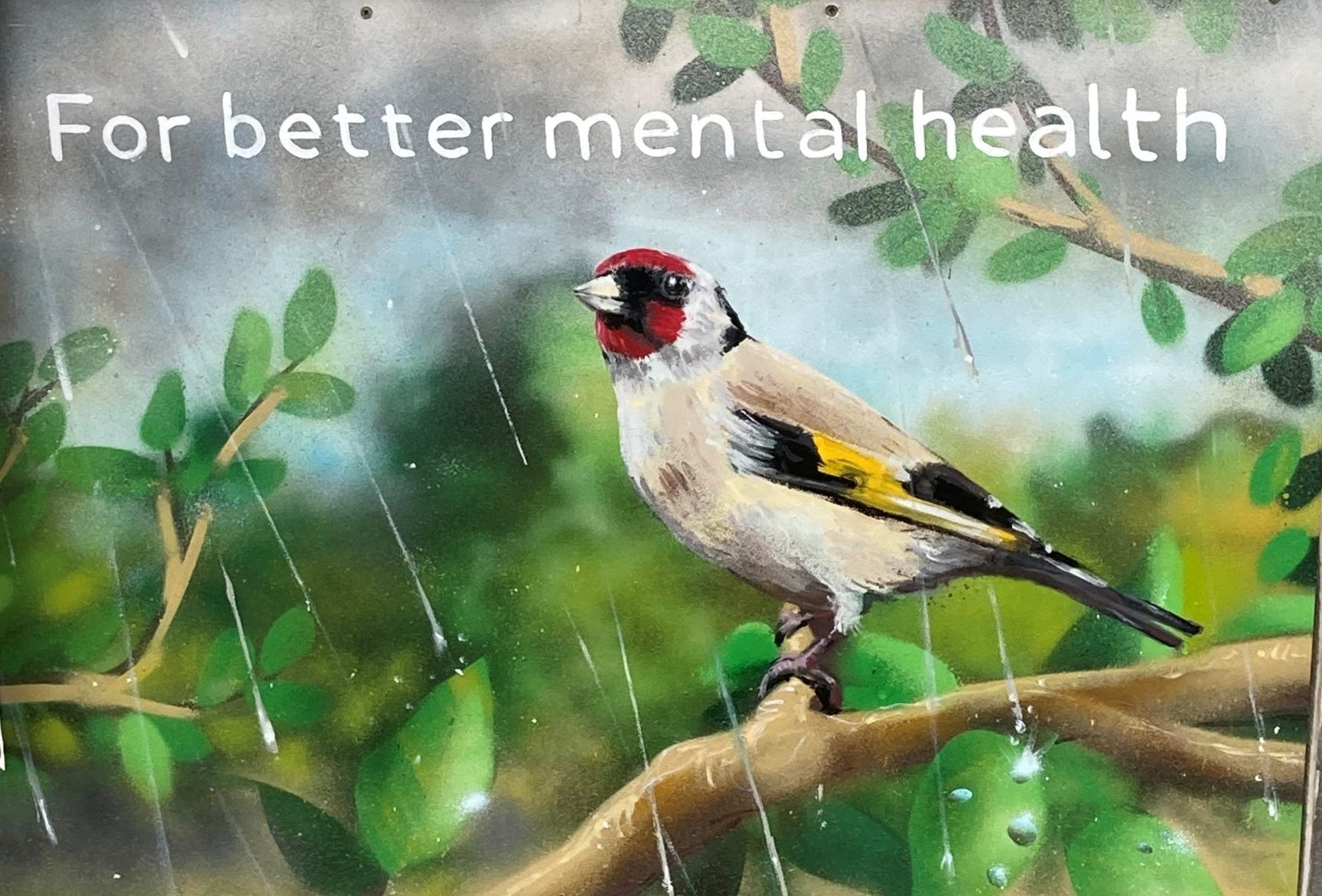Beautiful Birds